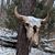 Cliff N Dana Russell's profile image