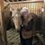 Janet Yarling's profile image
