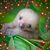 Michele Slupski Philipp's profile image
