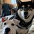 Angele Hampton's profile image