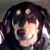 Brenda Lewis Roen's profile image