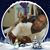 Sherry Nixon's profile image