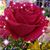 Kathleen Refling's profile image