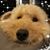 Pamela McGushin's profile image
