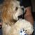 Bart A. Weber's profile image