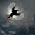 Kathy Pons's profile image