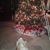 Debby Gibbs's profile image