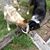 Phyllis Darling Rhudy's profile image