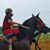 Wrangler Wrangler's profile image