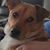 Carol Fischer Killian's profile image