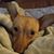 Gary L Gray's profile image