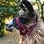Jessie Munson's profile image