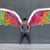 Juan Carlos Flores's profile image