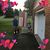 Brian Stahl Sr.'s profile image