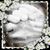 Miranda Mullins's profile image