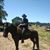 Johnny Rider Collins's profile image