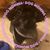 Cindy Day's profile image