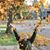 Debbie Hyams Walton's profile image