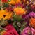 Heidi Betz Thornton's profile image
