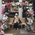 Ioanna Efstathiadou's profile image