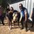 Kevin W. Schell's profile image