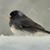 Sandy Mills Zielsdorf's profile image