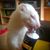 Heiko Blaume's profile image