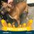 Cheryl Dianne Ridder's profile image