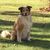Jessica Marcus Kruczek's profile image