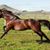 Kenneth Ottosson's profile image