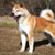 Don Jonson's profile image