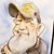 Joseph Towne's profile image