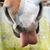 Sandra Lewis Stough's profile image