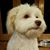 Pam Stoltz's profile image