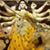 Rakesh Srivastava's profile image