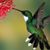 Nancy Bailey-Slauson's profile image