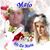 Maria Moura's profile image