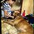 Trang Ho's profile image