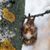 Helene Ingram-Mondo's profile image