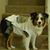 Judith McNerny's profile image