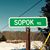 Rose Falcetta Sopok's profile image