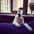 Rachel VanLancker's profile image