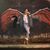 Dawn Gregory's profile image