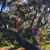 Rebekah Sell's profile image
