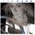 Patti Dunn's profile image
