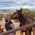 Tina Kleckner's profile image