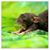 Karen Pollitt's profile image