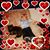 Heidi Wright's profile image