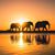 Heather Samarin Gollini's profile image