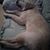 Terry Meyerhoffer's profile image